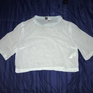 H&M Sheer Crop Top